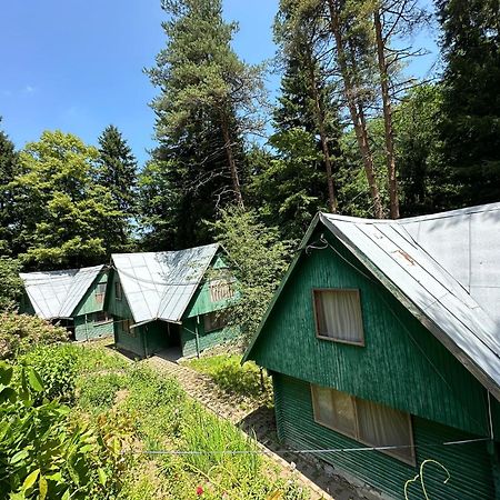 Nunisi Forest Hotel & Spa Eksteriør billede