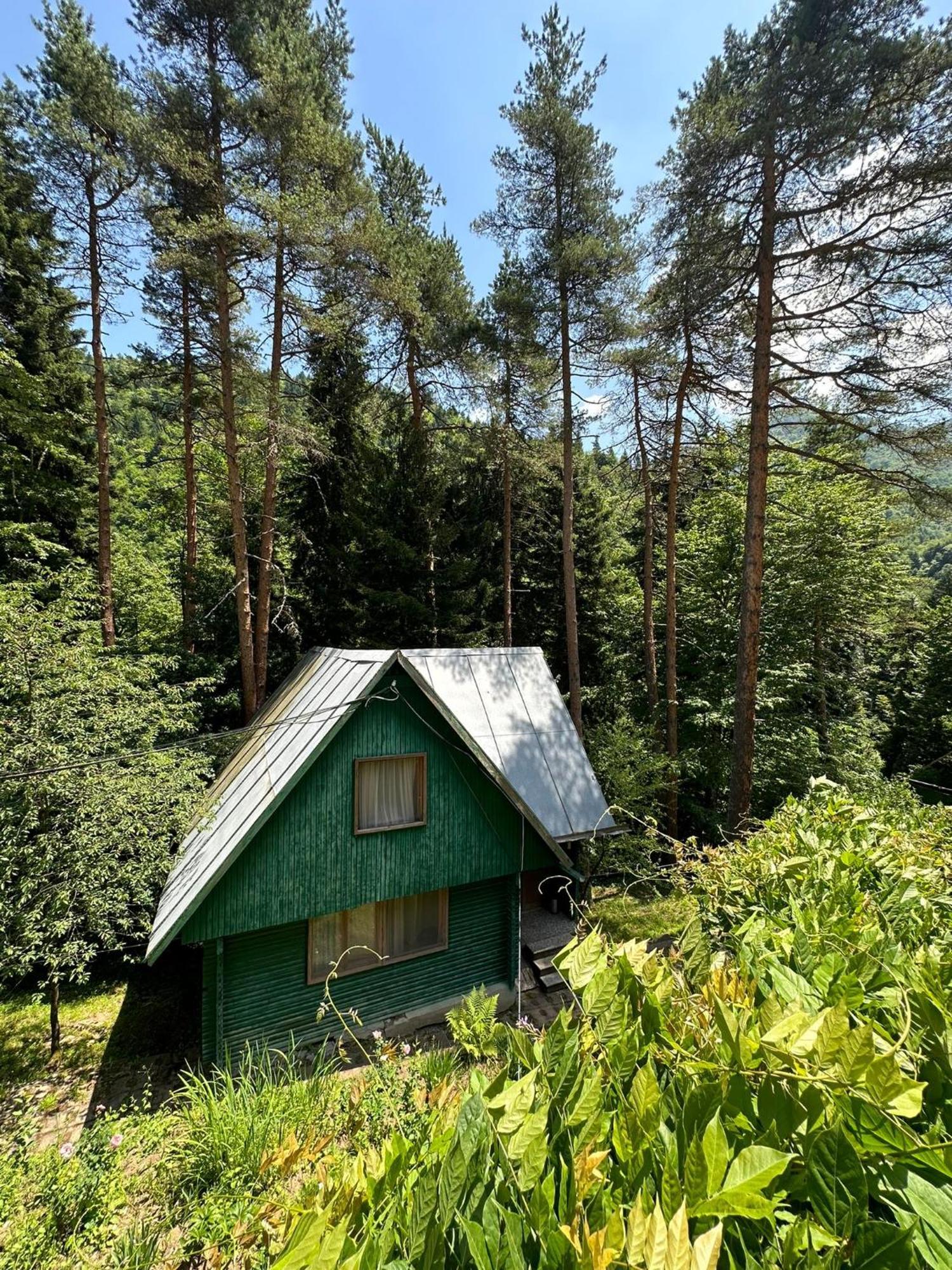 Nunisi Forest Hotel & Spa Eksteriør billede