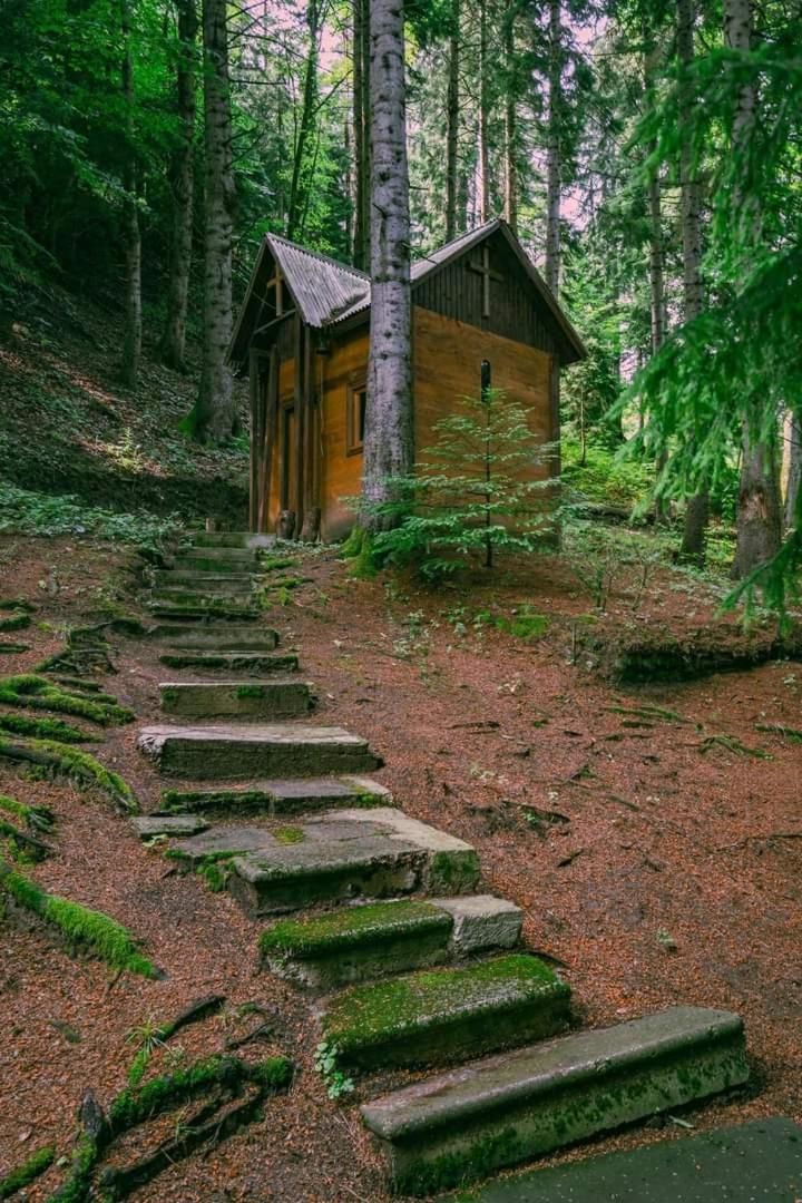Nunisi Forest Hotel & Spa Eksteriør billede